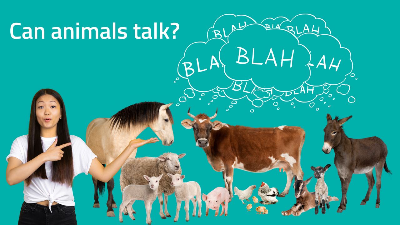 Are animals able to talk? – alugha Are animals able to talk? – alugha
