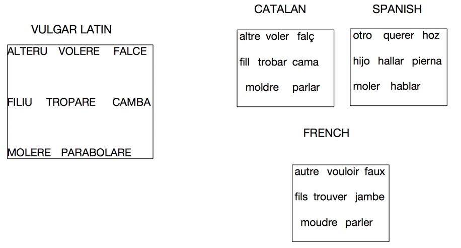 catalán  Tradução de catalán no Dicionário Infopédia de Espanhol -  Português