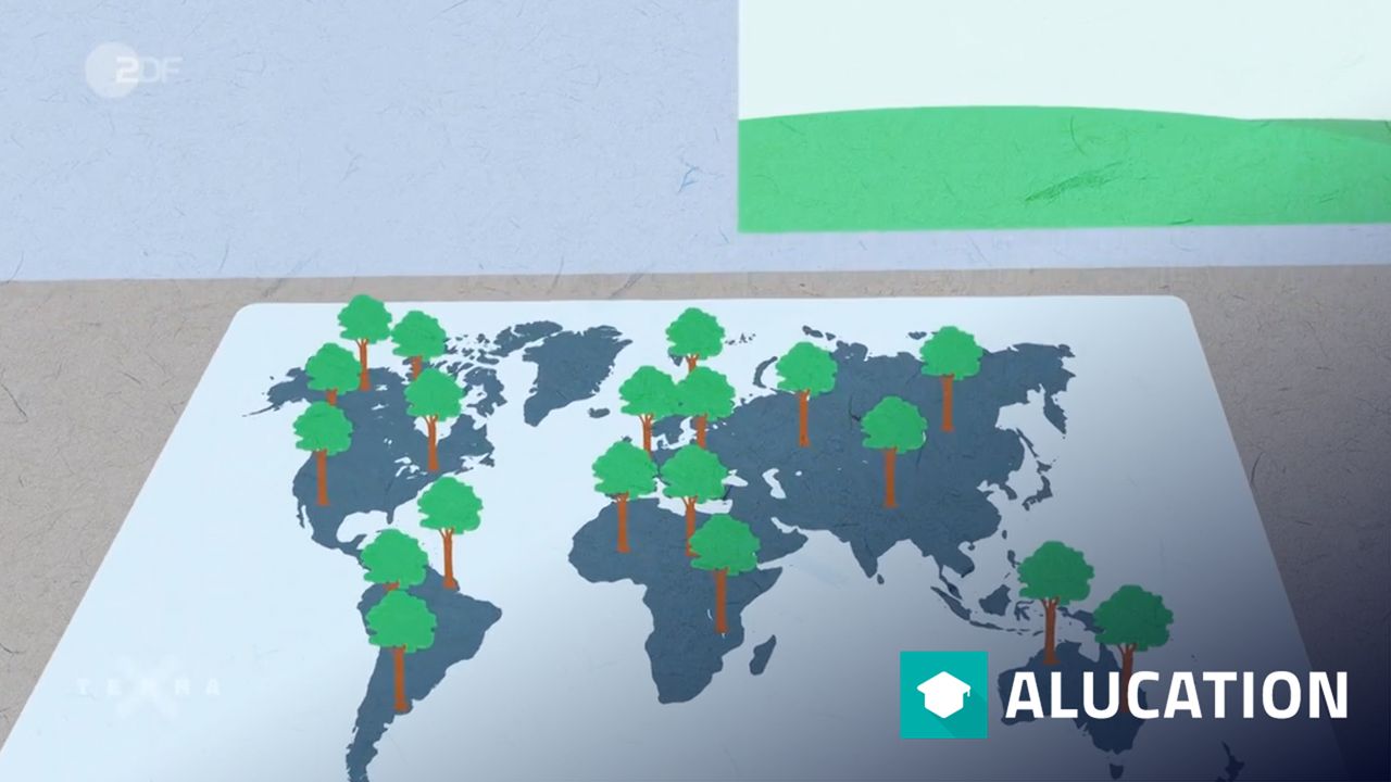 Wie bekommt man CO2 aus der Atmosphäre – alugha