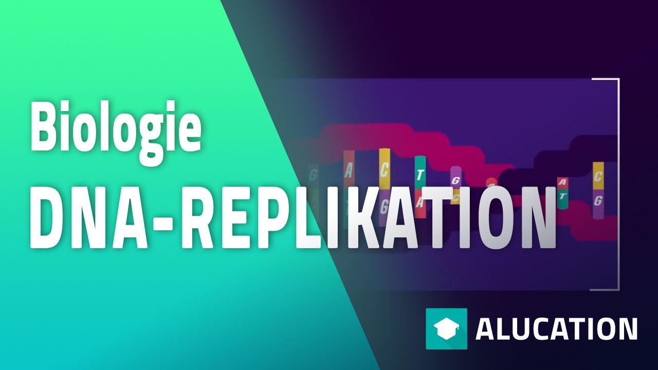 alugha