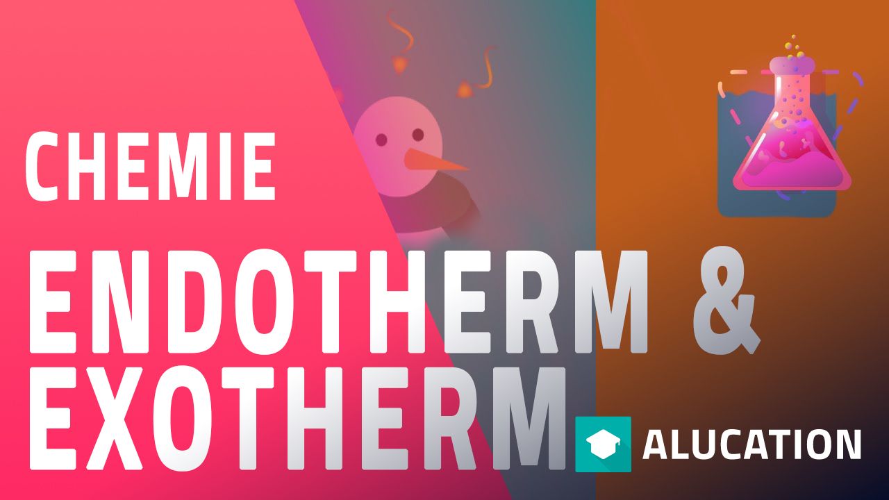 Was sind endotherme und exotherme Reaktionen? | Reaktionen | Chemie