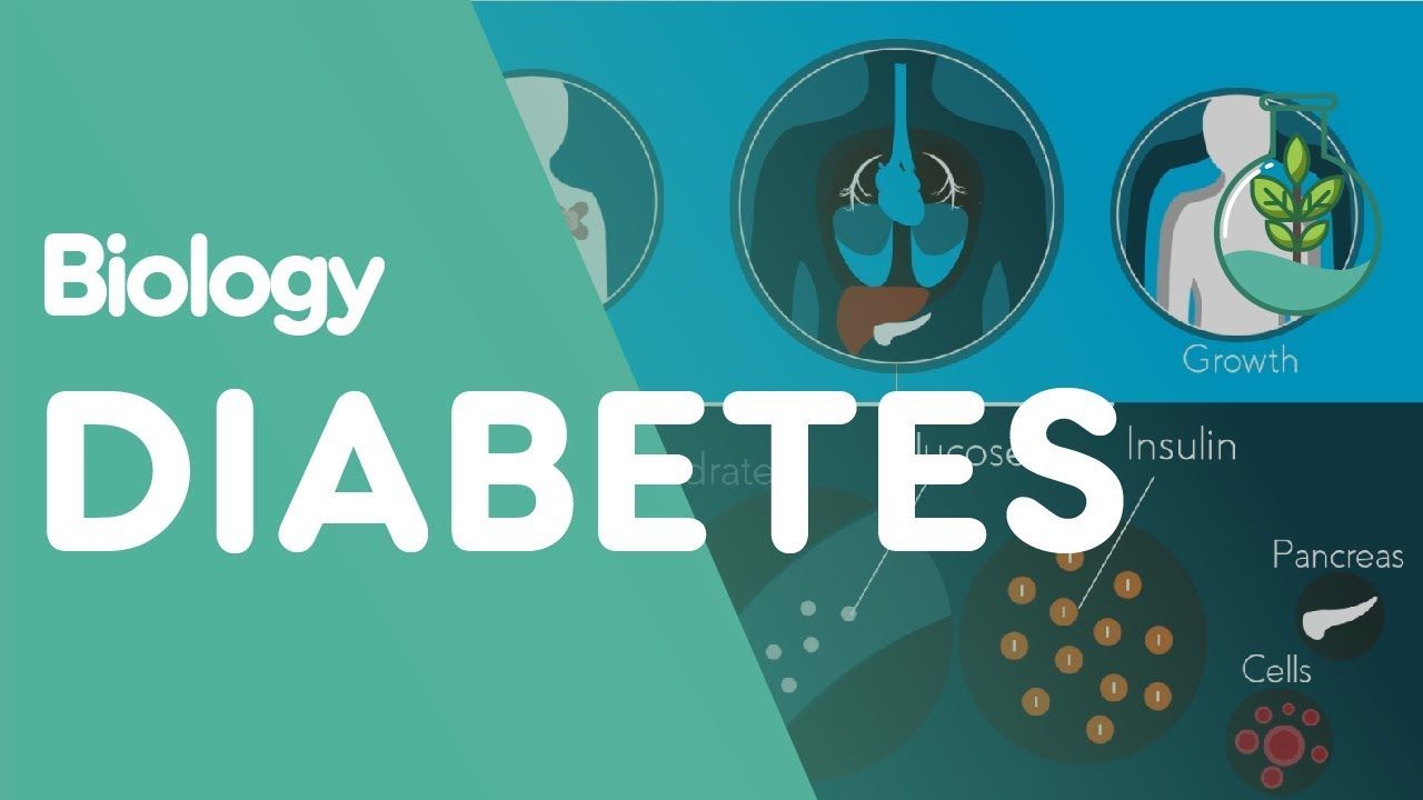 What is Diabetes? | Biology for All | FuseSchool