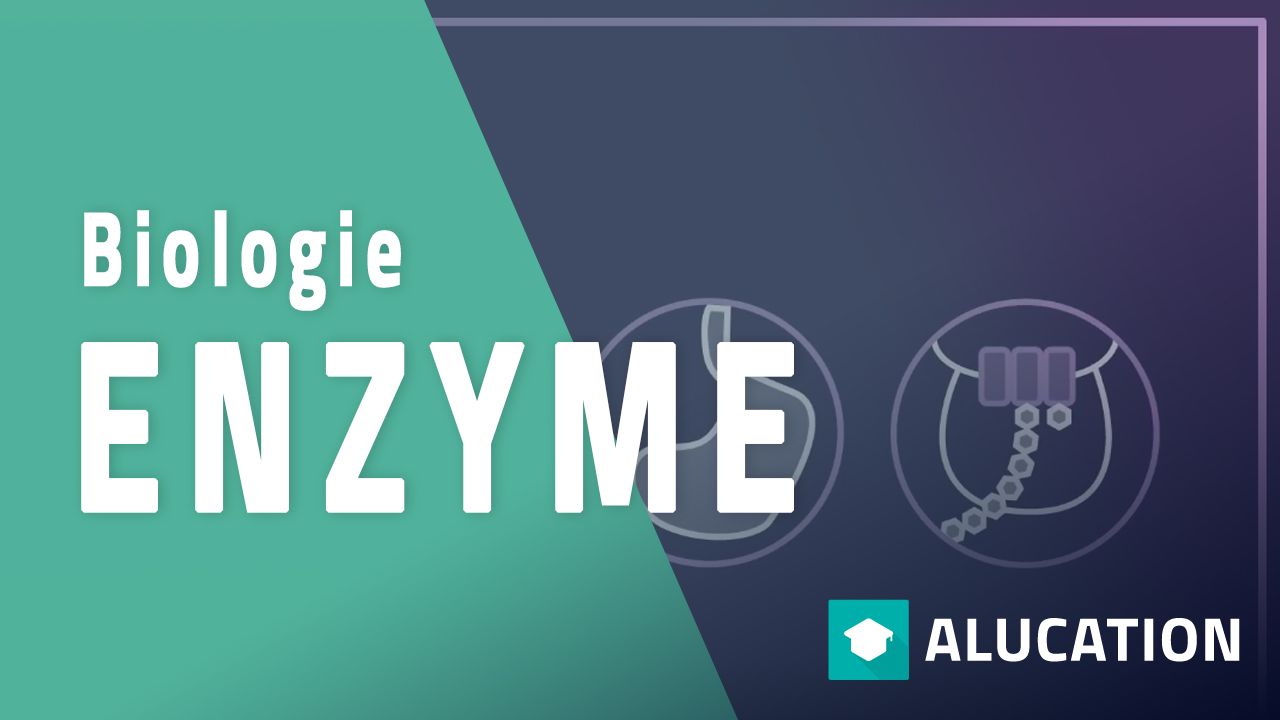 Enzyme Zellen Biologie FuseSchool alucation