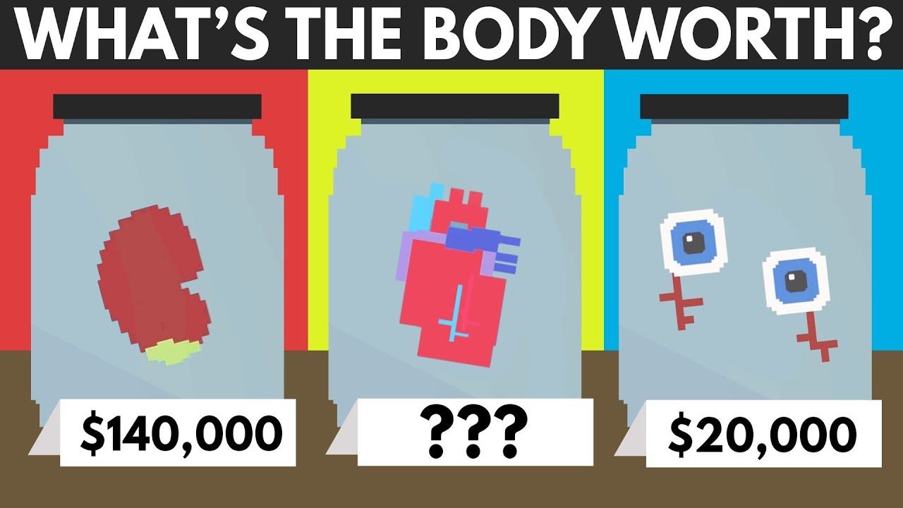 How Much Is The Human Body Worth? alucation