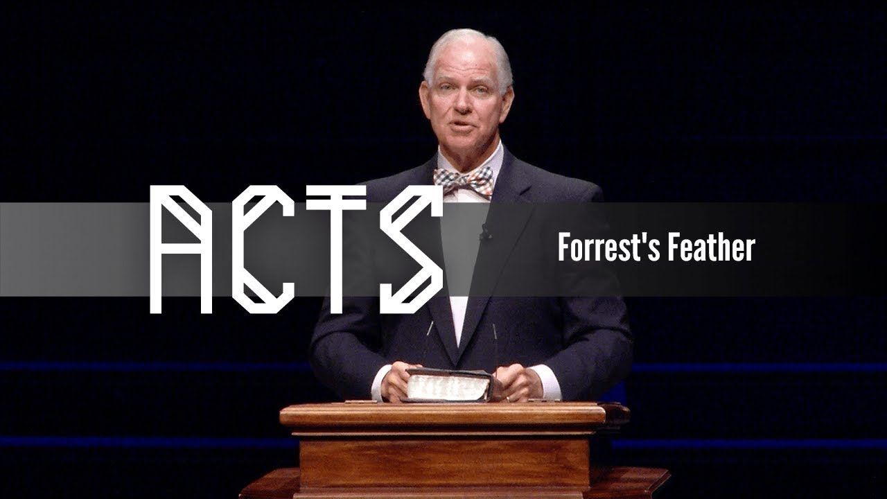 Forrest's Feather