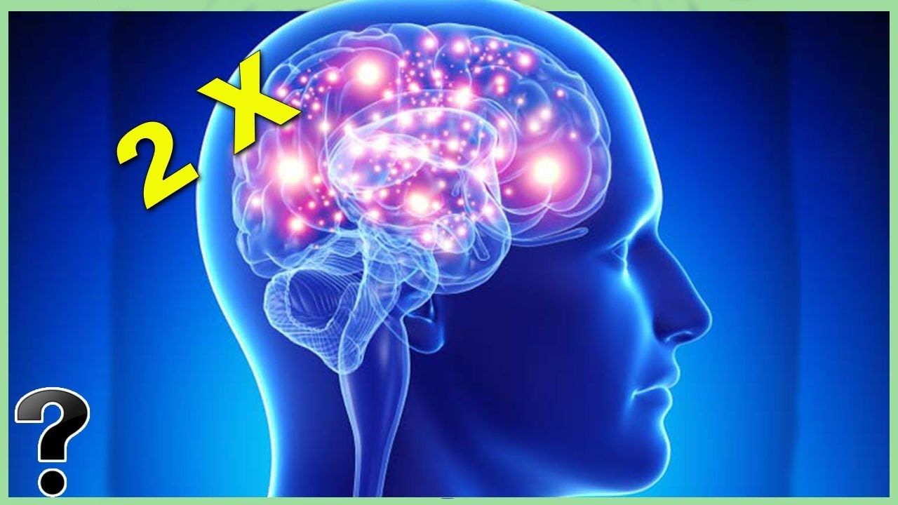 What If Humans Were Twice As Intelligent?