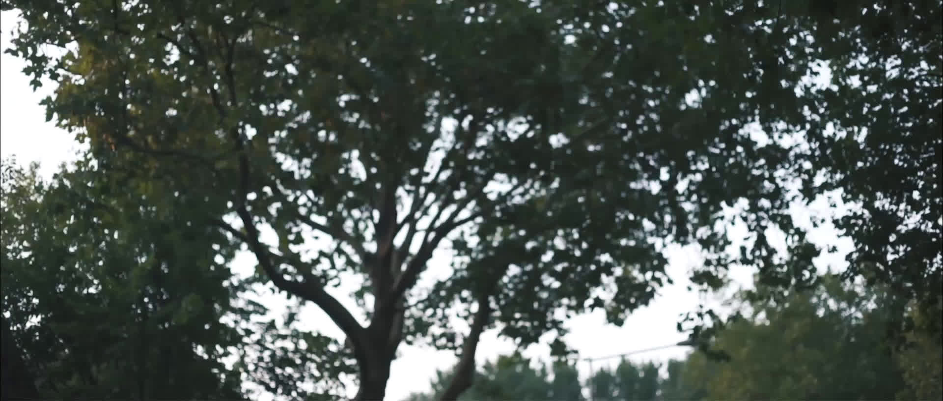 Matchday vs. Ireland | DANAS S1 E03