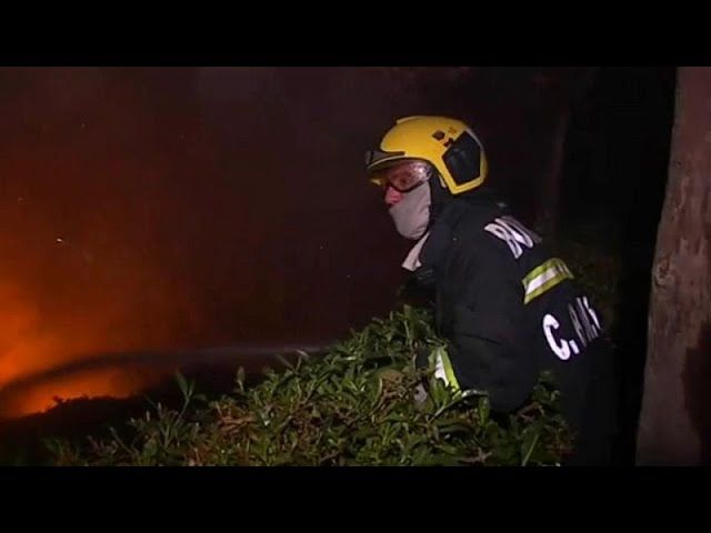 Forest fires continue to rage in Portugal and Spain
