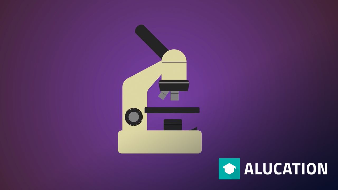 Cómo usar un microscopio Células Biología FuseSchool alugha