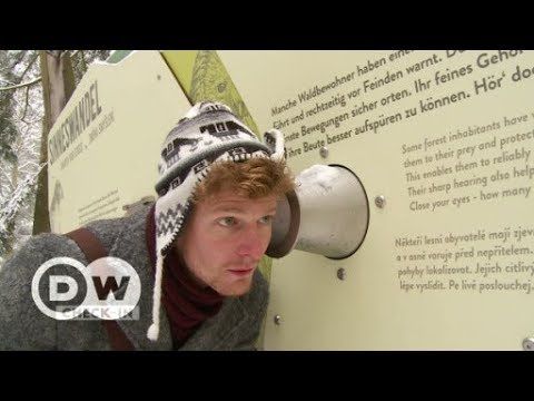 Exploring Passau and the Bavarian Forest | DW English