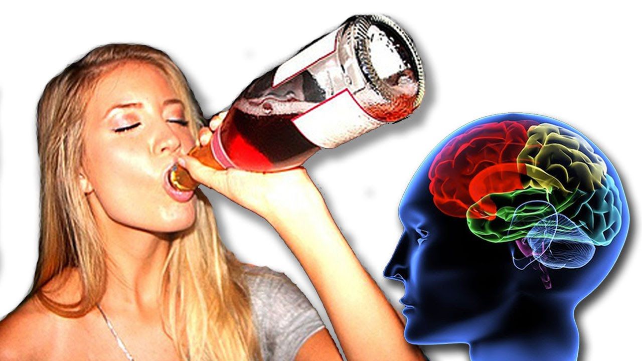 How Getting Drunk Actually Works