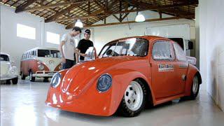 Escarabajo veloz